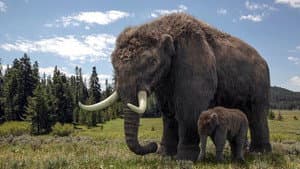 Ice Age Giants — foto 1