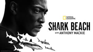 Shark Beach with Anthony Mackie — foto 8