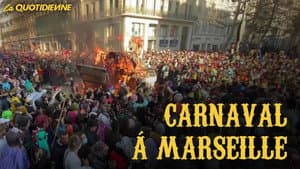 Episodio 206