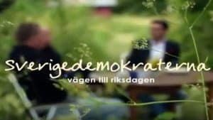 Sverigedemokraterna - vägen till riksdagen — foto 1