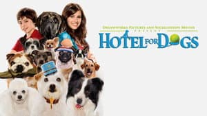 Hotel para Perros — foto 10