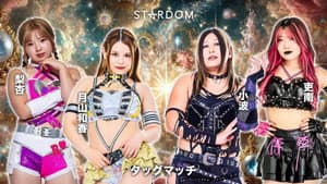 第15回 ゴッデス・オブ・スターダム ～タッグリーグ優勝決定戦～ in HAMAMATSU — foto 4
