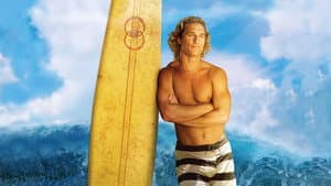 Surfer, Dude — foto 1