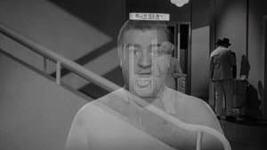 Abbott y Costello contra el hombre invisible — foto 8