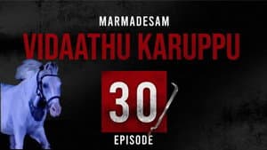 Episodio 30
