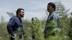 Episodio 9