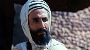 الشيخ بوعمامة — foto 8