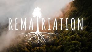 Rematriation — foto 1