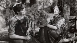 The Girl of the Golden West — foto 4