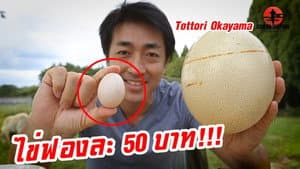 Episodio 220