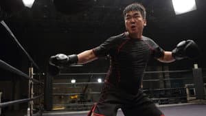 Fists of Legend — foto 10