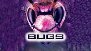 Bugs — foto 3