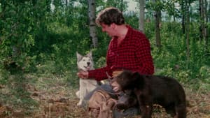 Nikki, Wild Dog of the North — foto 9