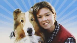 Lassie — foto 1