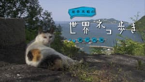 Episodio 9