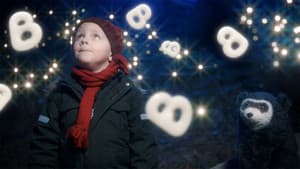 Brillebjørn feirer jul — foto 2
