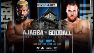 Efe Ajagba vs. Joe Goodall — foto 1