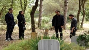 Episodio 8
