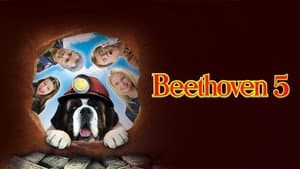 Beethoven 5: El perro buscatesoros — foto 9