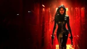 Ballerina Assassin — foto 1
