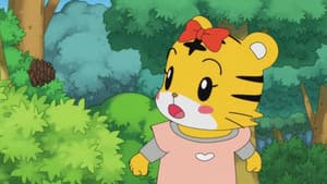 Episodio 29