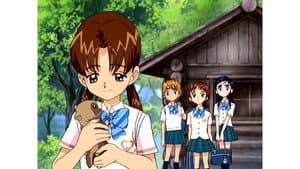 ¿Una despedida emotiva? La historia del mapache de Rina