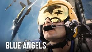 The Blue Angels — foto 4