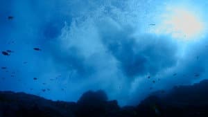 Pristine Seas: The Power of Protection — foto 2