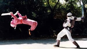 The Ninja Showdown — foto 1