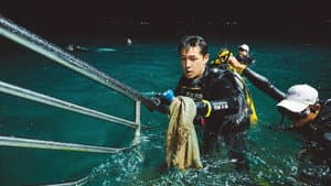 Episodio 6