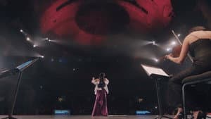 Lila Downs - Desde Bellas Artes México — foto 3