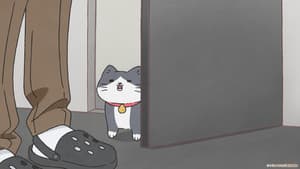 Episodio 47