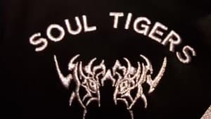 Glamour Reel Docs: Soul Tigers — foto 5