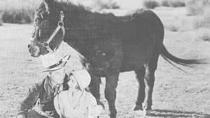 In Old Cheyenne — foto 1