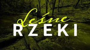 Leśne rzeki — foto 1