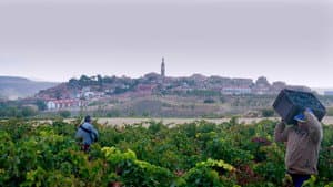 Rioja, la tierra de los mil vinos — foto 2