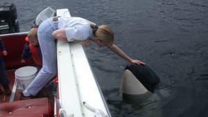 The Whale — foto 2