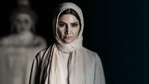 آنها — foto 5