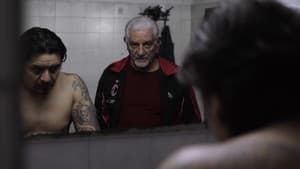 El Halcón — foto 1