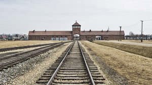 Auschwitz Projekt — foto 1