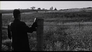 Faith of Our Fathers, a film by Hamilton Sterling — foto 1