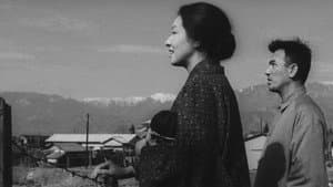 二人で歩いた幾春秋 — foto 1
