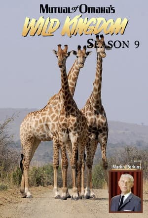 Temporada 9