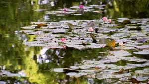 Los jardines franceses de Monty Don — foto 1