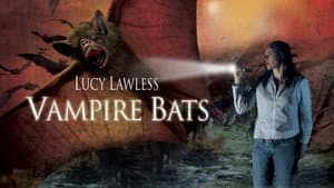 Vampire Bats — foto 5