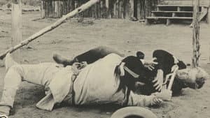 Fort Courageous — foto 1
