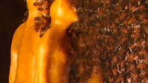 Wax, or The Discovery of Television Among the Bees — foto 7