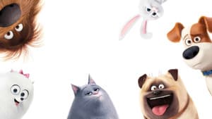 La vida secreta de tus mascotas — foto 11