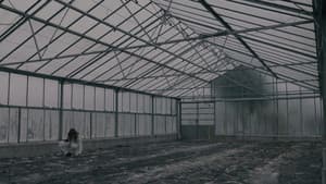 BLOOM - A Dystopian Short Film — foto 1