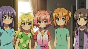 Episodio 9